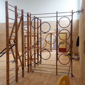 the apparatus
